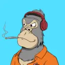 ChilledKong4822