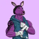 kangaroofightsociety#2890