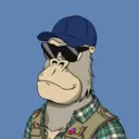 ChilledKong0980