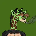 GenuineGiraffe_1770