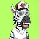 ZESTYZEBRA2122