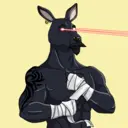 kangaroofightsociety#1716