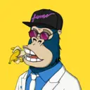 ChilledKong5135