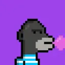MonkeyWifhat1698