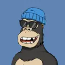 ChilledKong8415