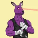 kangaroofightsociety#3896