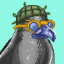 Hawk #0867