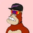 ChilledKong5099