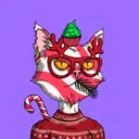 XMASCats364