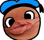 Ducksy