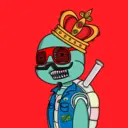 TTSTurtle926
