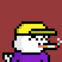 pixel seal 555