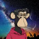 CardanoBoredApe560