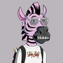 ZESTYZEBRA2027