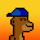 MonkeyWifhat2670