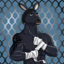 kangaroofightsociety#1908