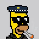 HomerPunks6958