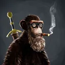 adapeRavingerVentucci
