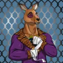 kangaroofightsociety#3263