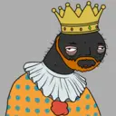 CardanoBro #2342