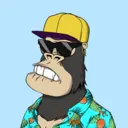 ChilledKong2344