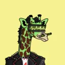 GenuineGiraffe_2602