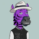 ZESTYZEBRA3541
