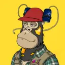 ChilledKong4952