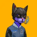 ALLEYKATZ04563