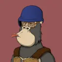 ChilledKong1491