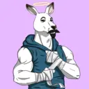 kangaroofightsociety#3553