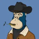ChilledKong3860