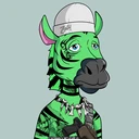 ZESTYZEBRA3289