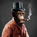 adapeTomasWilson
