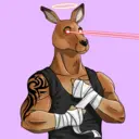 kangaroofightsociety#5028