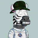 ZESTYZEBRA627