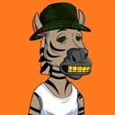 ZESTYZEBRA3530
