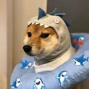 SHARKINU