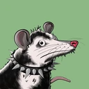 Possum #2484