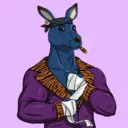 kangaroofightsociety#3234