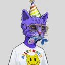ALLEYKATZ04660