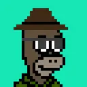HomerPunks886
