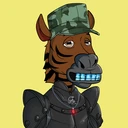 ZESTYZEBRA4029