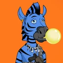 ZESTYZEBRA365
