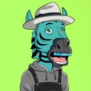 ZESTYZEBRA3482
