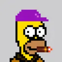 HomerPunks9828