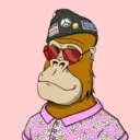 ChilledKong4631