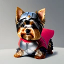 ValhallaArmorYorkie