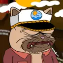 Mogi2020