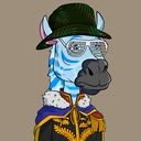 ZESTYZEBRA1455